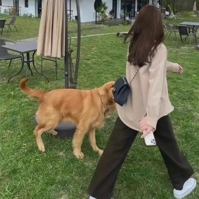 舞出新人生